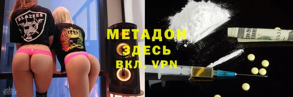 прущие грибы Арсеньев