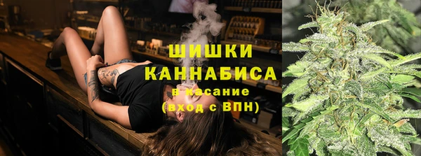 прущие грибы Арсеньев