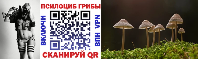 Псилоцибиновые грибы Psilocybine cubensis Соликамск